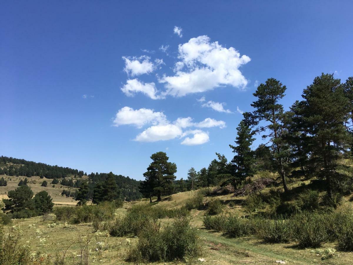 Casa Rural La Sabina Fortanete Εξωτερικό φωτογραφία