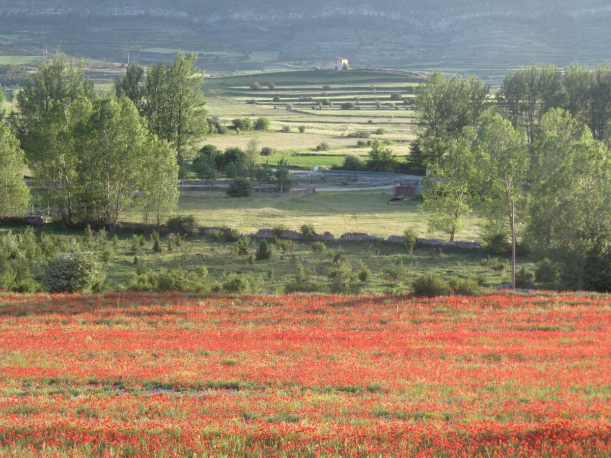 Casa Rural La Sabina Fortanete Εξωτερικό φωτογραφία