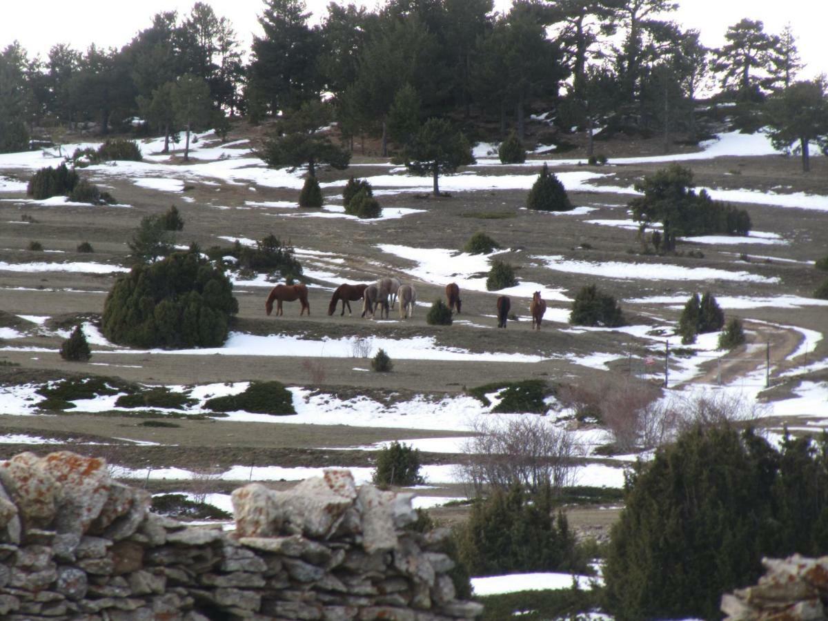 Casa Rural La Sabina Fortanete Εξωτερικό φωτογραφία